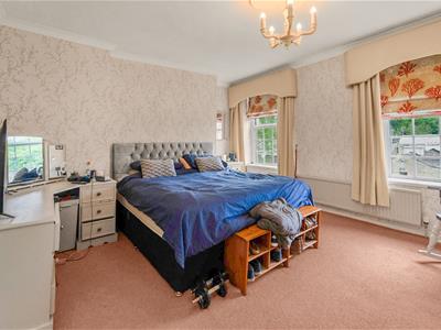 Picture 11
